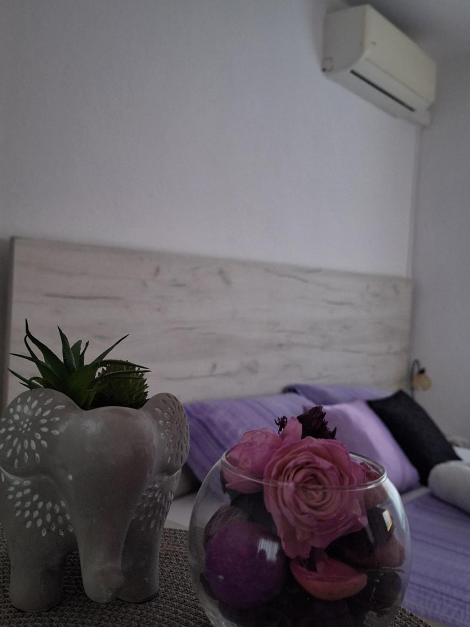 Apartment And Rooms Zed Mostar Exterior foto